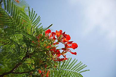 《勇敢的哈克》正式版将于8月25日登陆PC＆NS